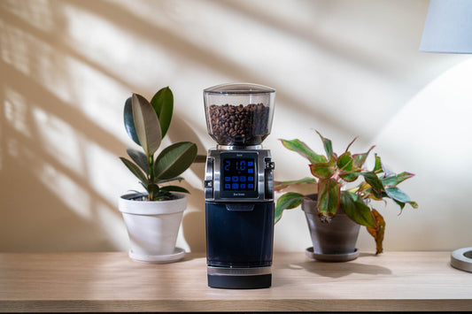 Baratza Forté BG Coffee Grinder Review: Unleashing Precision and Performance