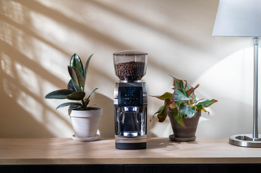 Baratza Vario+ Coffee Grinder Review: Precision Meets Versatility