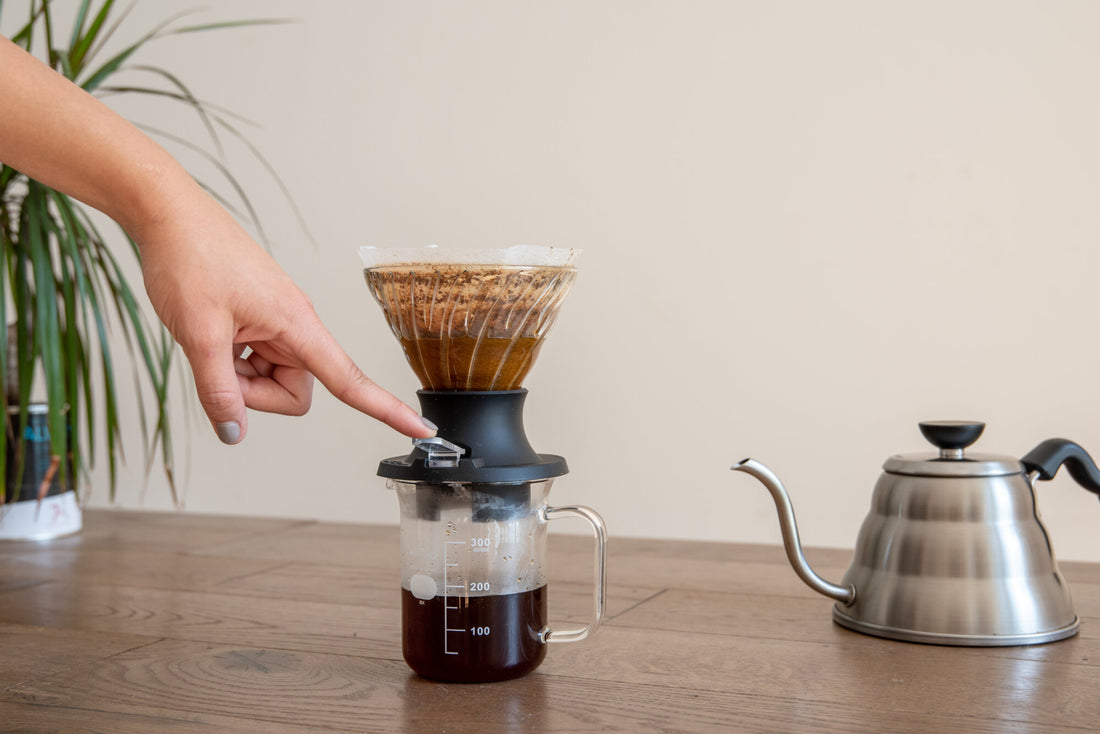 A Beginners Guide to Immersion Coffee Brewing